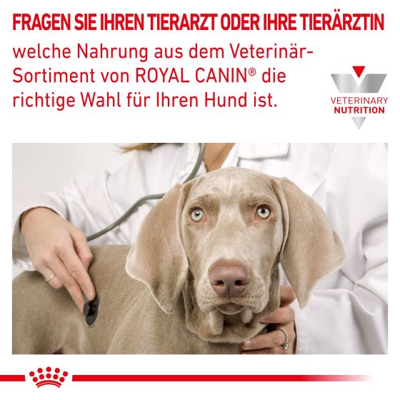 RC Vet Dog Cardiac2kg