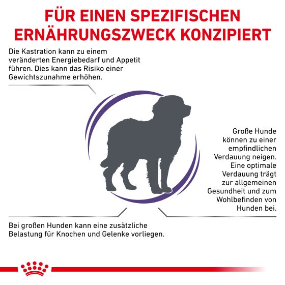 RC Vet Expert Dog Neutered Adult Large Dogs 12kg