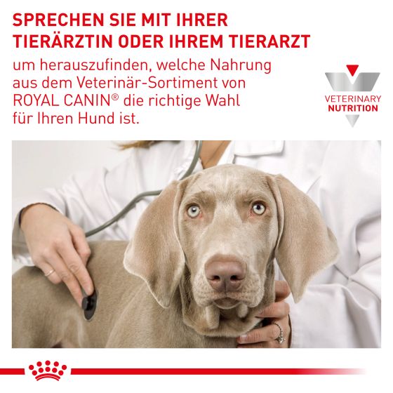 RC Vet Expert Dog Dental Small Dogs 3.5kg