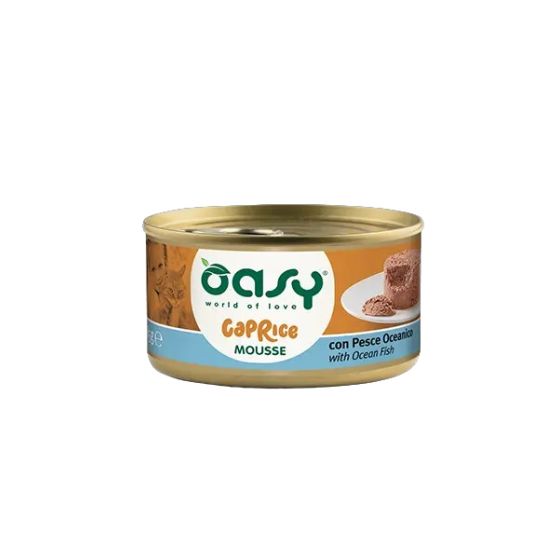 Oasy Ocean Fish Foam Box 85 gr