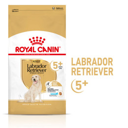 Royal Canin dog Spécial Labrador Retriever 5+  12kg