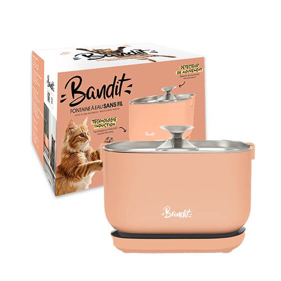 Bandit Fontaine Sans Fil Peche