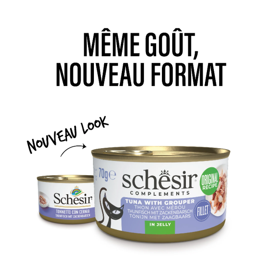 Schesir Cat Boite 70gr Thon&Merou