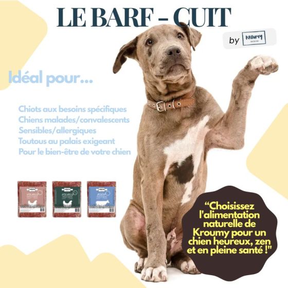 Kroumy Chien COOKED de 21 à 24kg