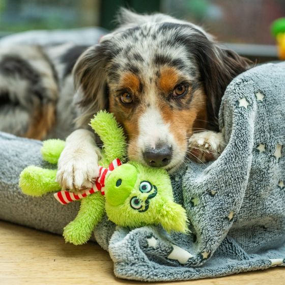 Peluche de Noël « Grimo » Grand