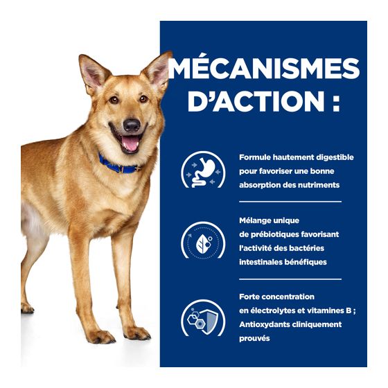 Prescription Diet™ Canine i/d™ Bœuf 12x360gr