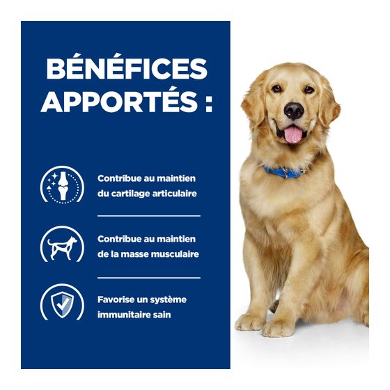 Prescription Diet™ Canine j/d™ Poulet 12x370gr