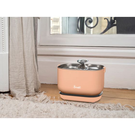 Bandit Wireless Fountain Fishing