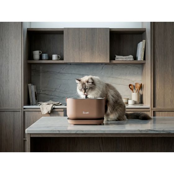 Bandit Fontaine Sans Fil Moka