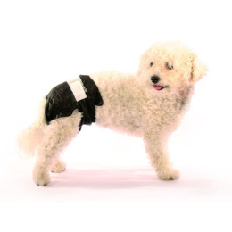Doggy pamy's Couches Femelle Mono-Usage pour chien S