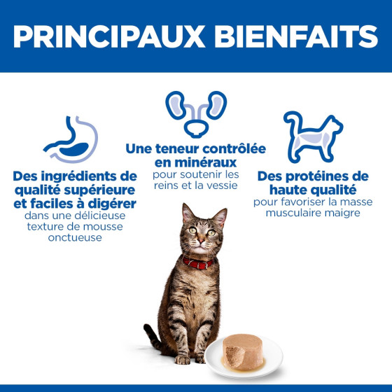 Hill's Feline Boite Mousse Saumon 12x85gr