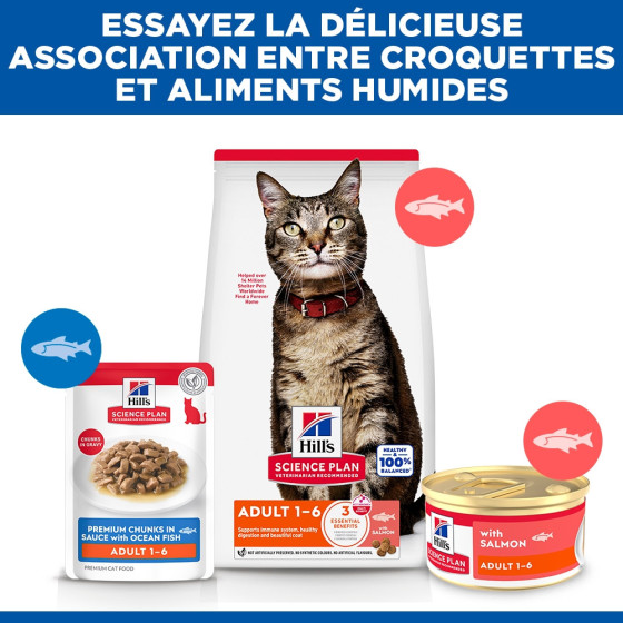 Hill's Feline Salmon Mousse Tins, 12 x 85g