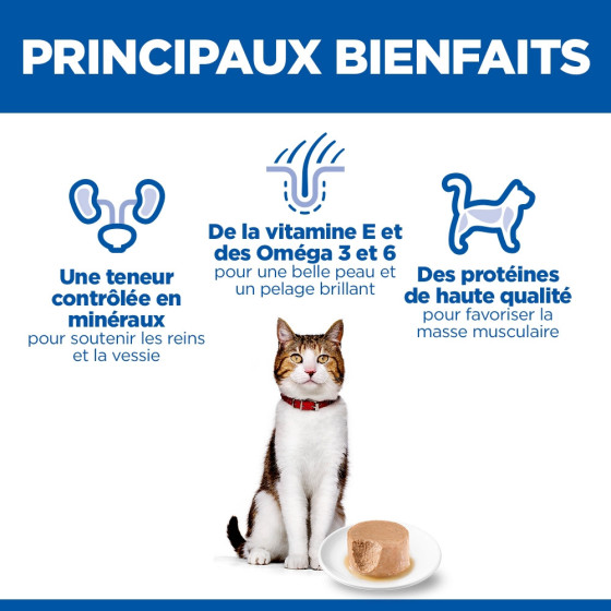 Hill's Feline Boite Mousse Mature Senior 12x85gr
