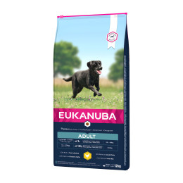 Eukanuba dog adult Maintenance Large 12kg