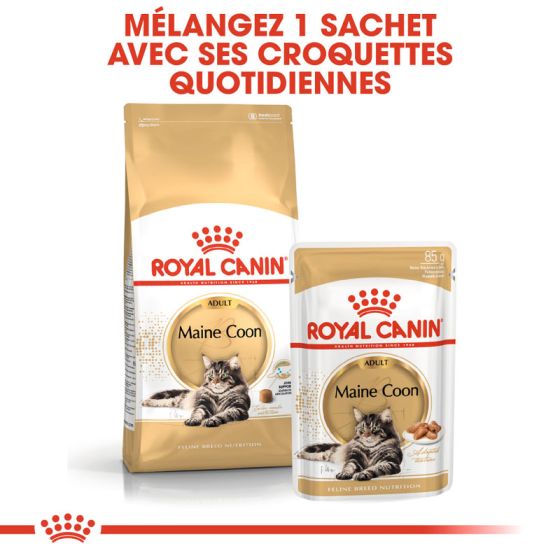 Royal Canin chat Humide Breed Maine Coon 85gr