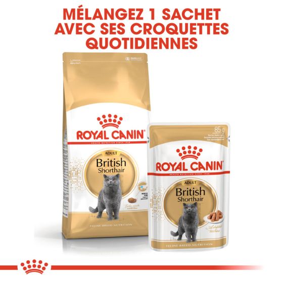 Royal Canin chat humide Breed British 85gr