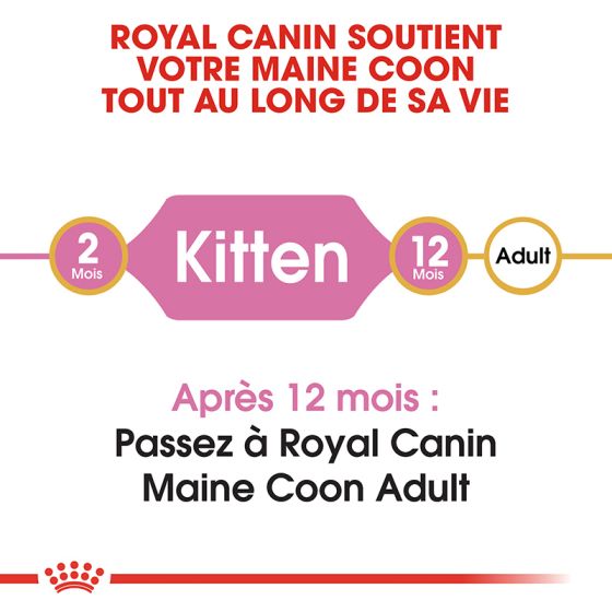 Royal Canin cat BREED MAIN COON KITTEN 400gr