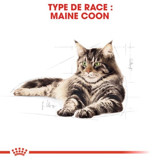 Royal Canin cat BREED MAINE COON 400gr