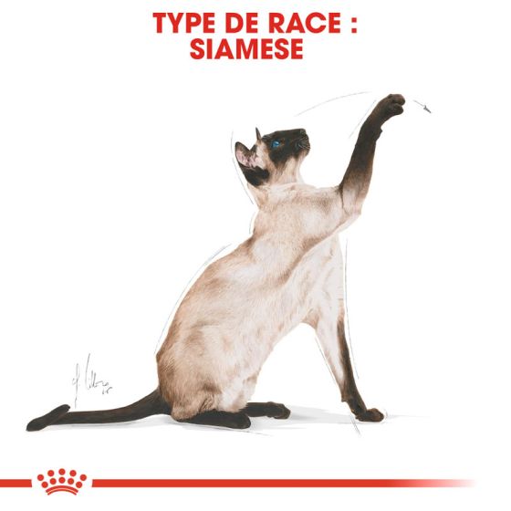 Royal Canin cat BREED SIAMESE 400g
