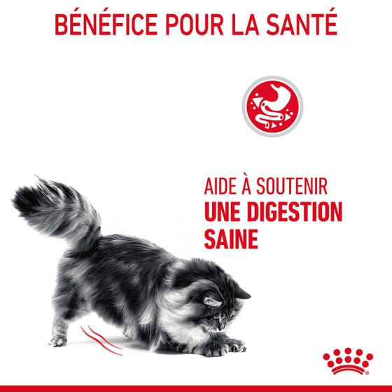 Royal Canin chat Digestive Care 10Kg