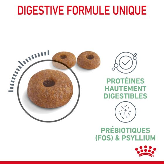 Royal Canin chat Digestive Care 10Kg