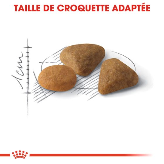 Royal Canin chat Exigent Savour 400g