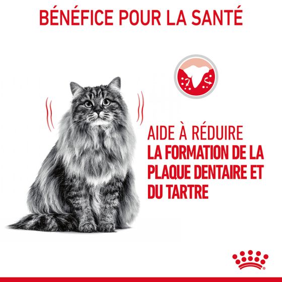 Royal Canin cat DENTAL Care 400g