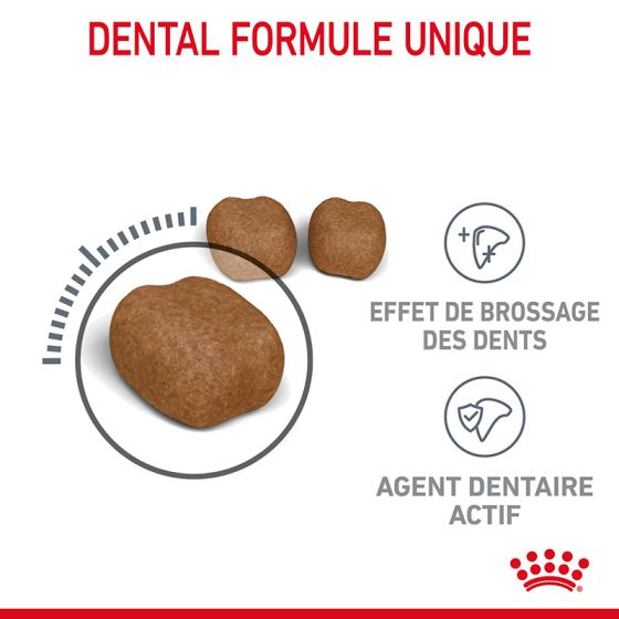 Royal Canin cat DENTAL Care 3.5 kg