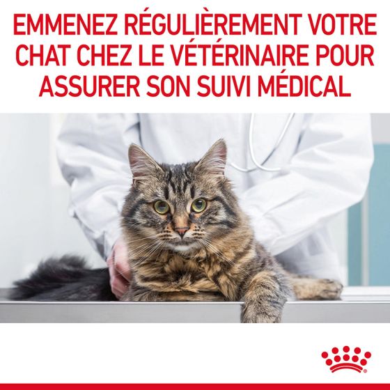 Royal Canin chat ORAL Care3.5kg