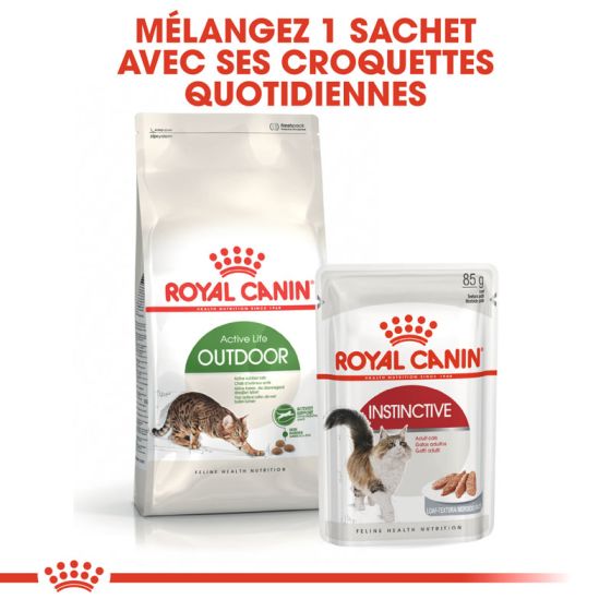 Royal Canin cat OUTDOOR 4kg