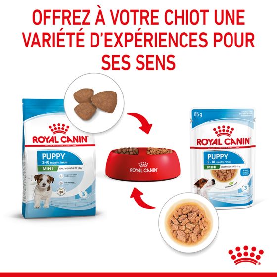 Royal Canin Wet Dog Food Mini Puppy Pouches 12x85g
