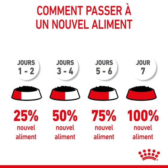 Royal Canin Wet Dog Food Mini Puppy Pouches 12x85g