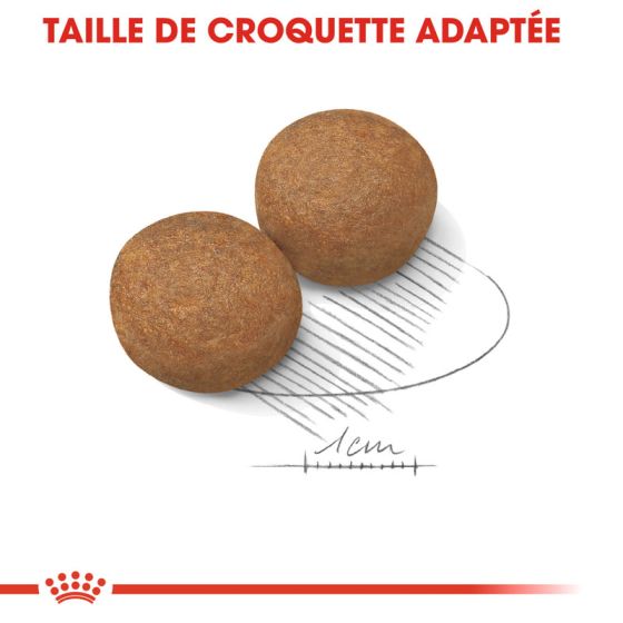 Royal Canin dog SIZE N maxi adult 15kg