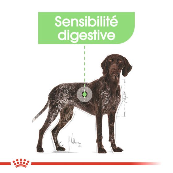 Royal Canin dog SIZE N max Digestive Care (12kg) (special order, within 48 hours)
