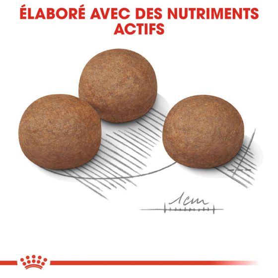 Royal Canin dog SIZE N max Digestive Care 3kg