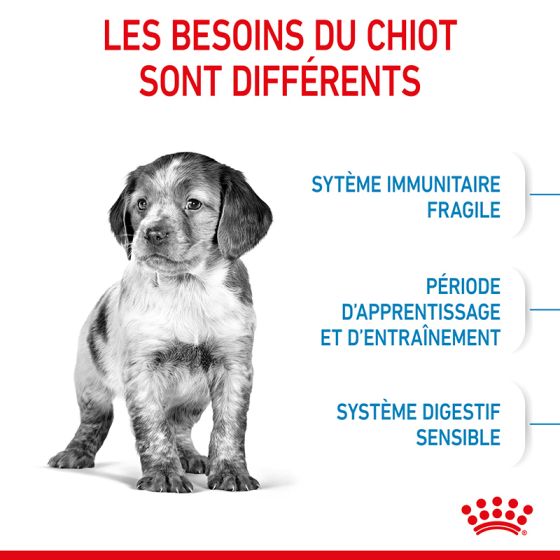 Royal Canin dog SIZE N medium junior4kg