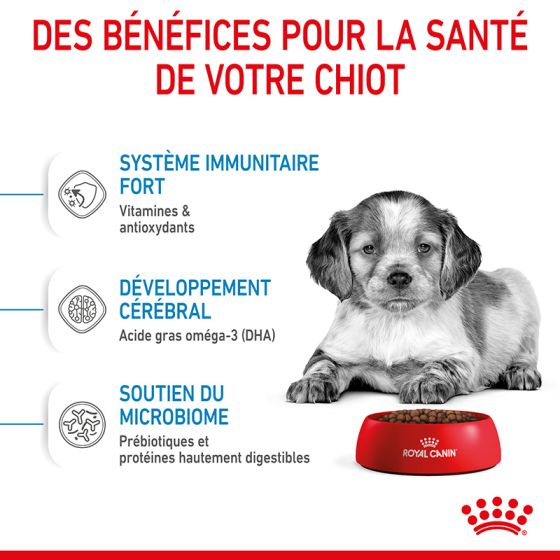 Royal Canin dog SIZE N medium junior4kg