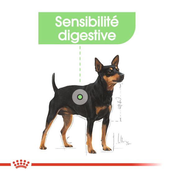Royal Canin dog SIZE N mini Digestive 3kg