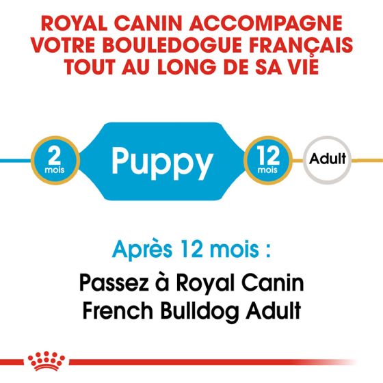 Royal Canin dog Special Bulldog French junior 3Kg