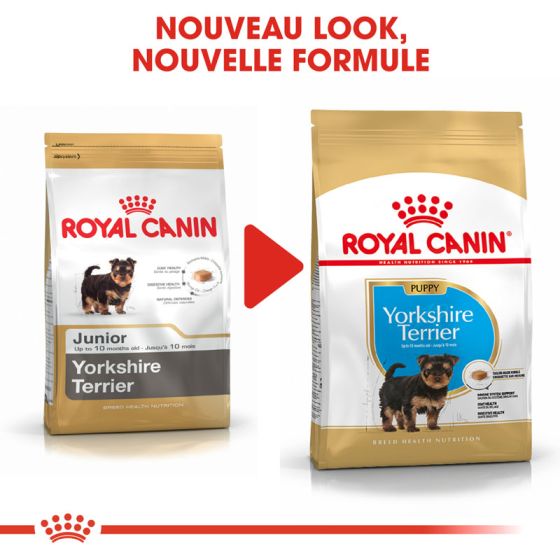 Royal Canin dog Special Yorkshire terrier Junior 500g