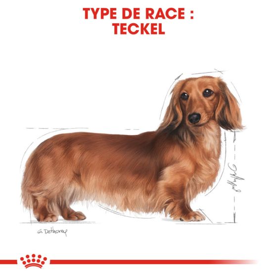 Royal Canin dog Special Dachshund 7.5 Kg