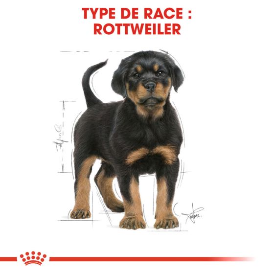 Royal Canin dog Special Rottweiler junior 12Kg (Within 2 to 3 days)