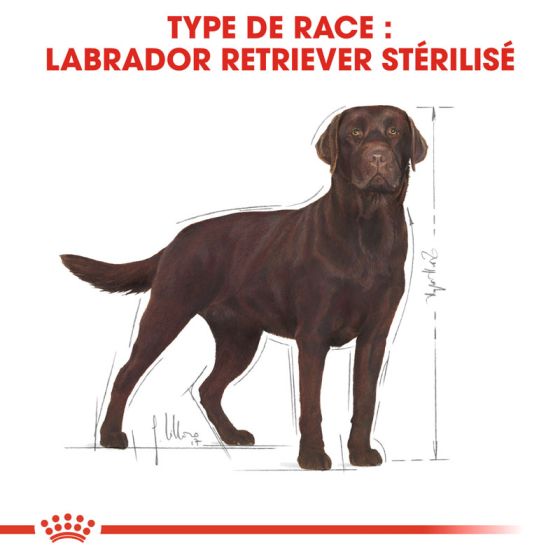 Royal Canin dog Spécial Labrador Sterilised12kg