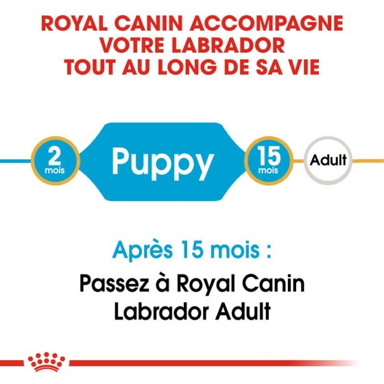 Royal Canin dog Spécial Labrador Retriever junior3Kg