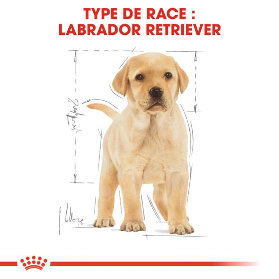 Royal Canin dog Spécial Labrador Retriever junior3Kg