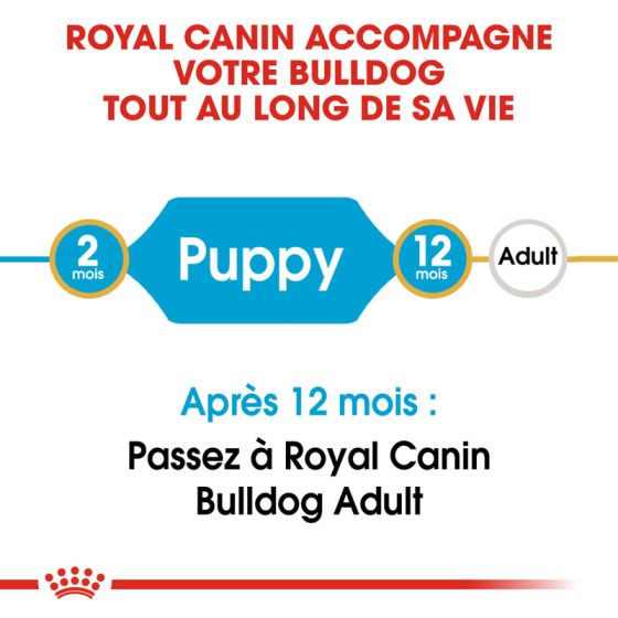 Royal Canin dog Spécial Bulldog Anglais Junior 3Kg