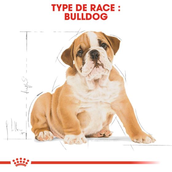 Royal Canin dog Spécial Bulldog Anglais Junior 3Kg