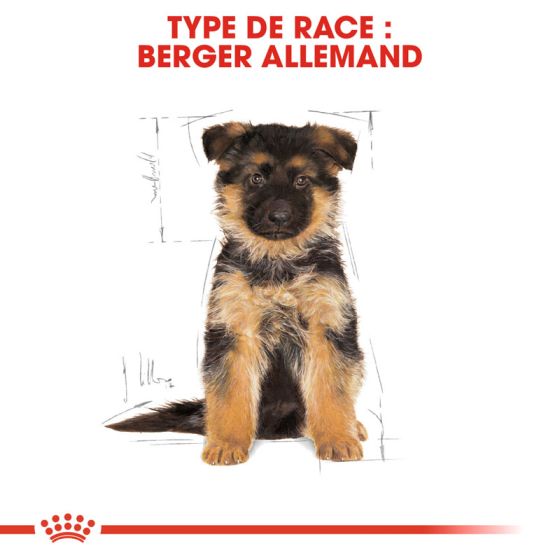 Royal Canin dog Spécial Berger Allemand junior3Kg