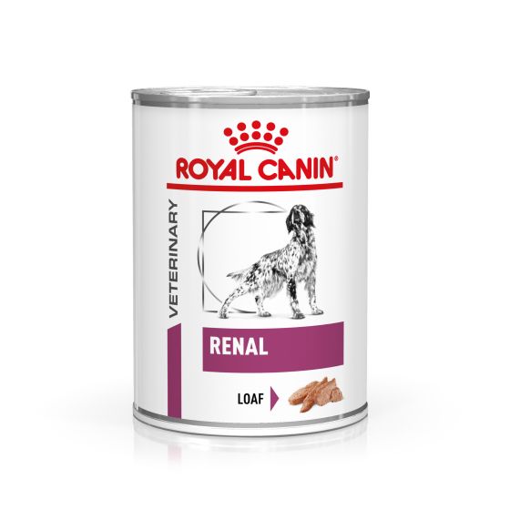 RC Vet Dog Renal Foam 12x410gr