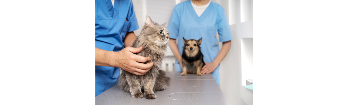 Nourriture Vétérinaire Hill's Prescription Diet pour chien et chat